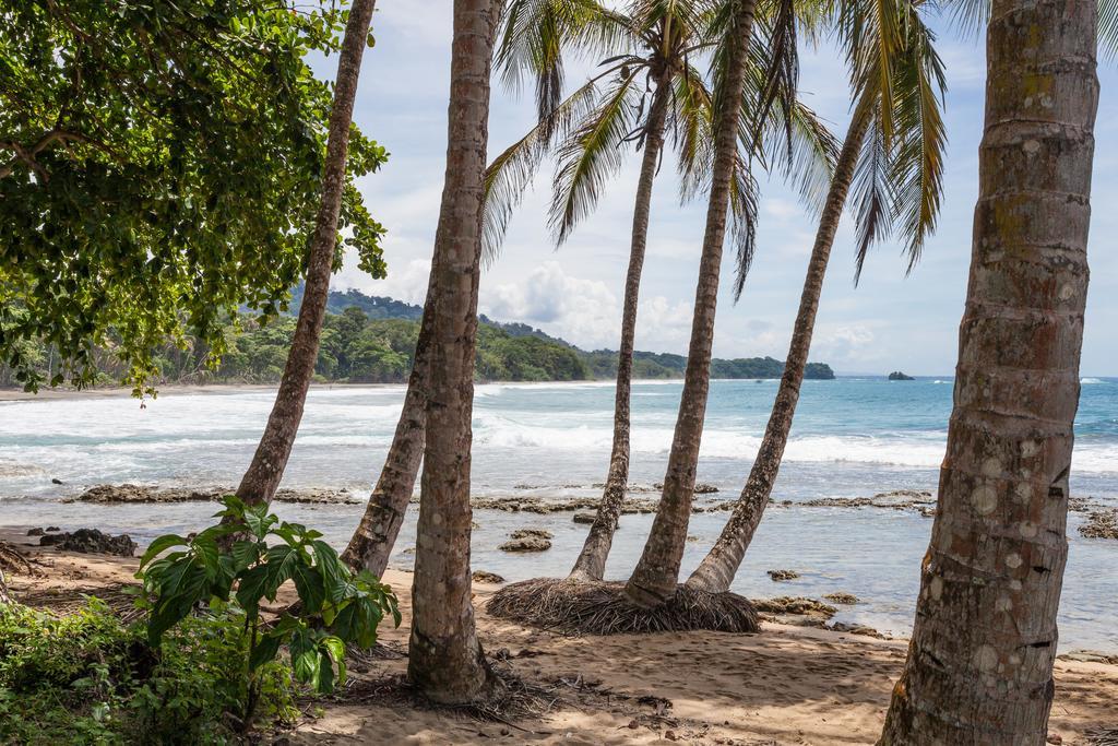 Relax Natural Village Adults Only Puerto Viejo de Talamanca Kültér fotó