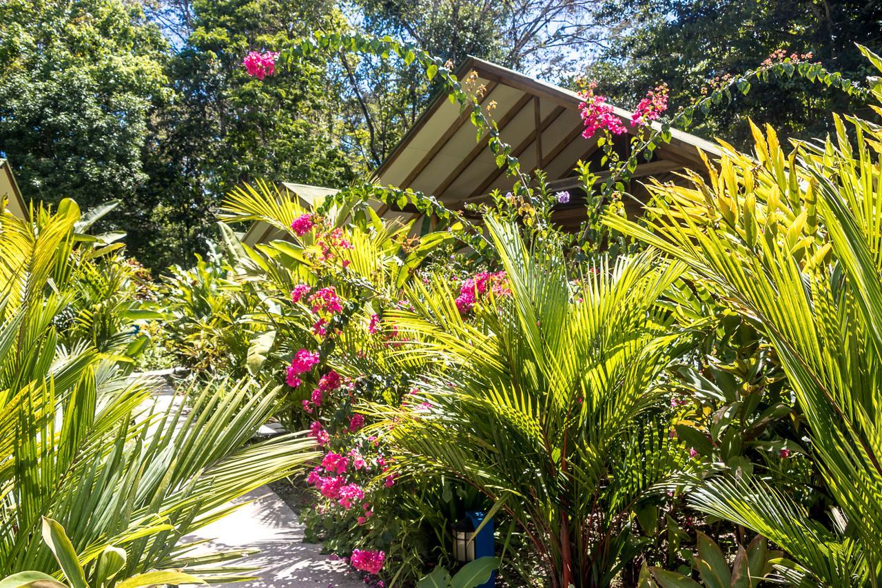 Relax Natural Village Adults Only Puerto Viejo de Talamanca Kültér fotó